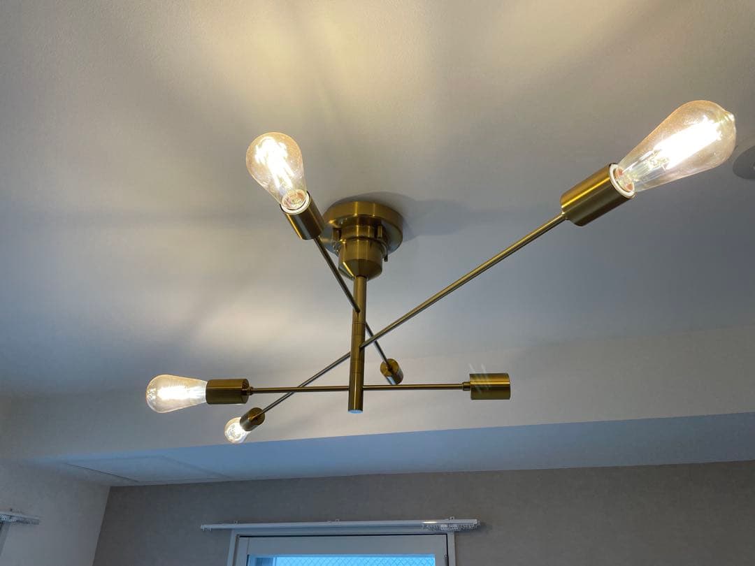 Astre unico別注カラー シーリングライト ウニコ