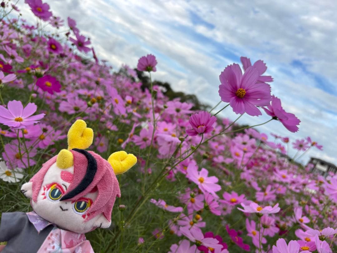 ぬいぐるみ order.72