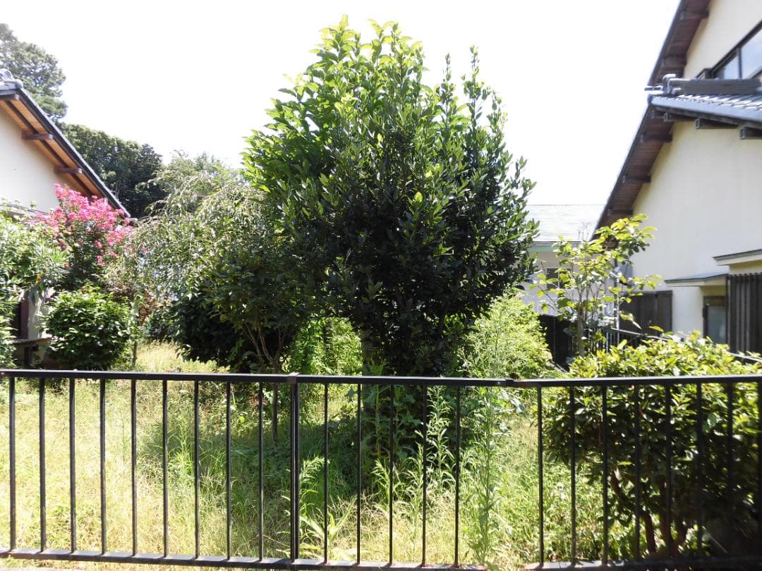 ⭕️動作品♥️美品★1610万画素★カシオEX-ZS180軽量162g光学１２倍