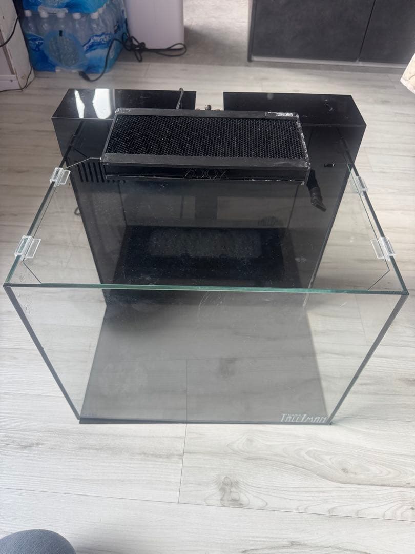 やっちゃん　Shell 水槽