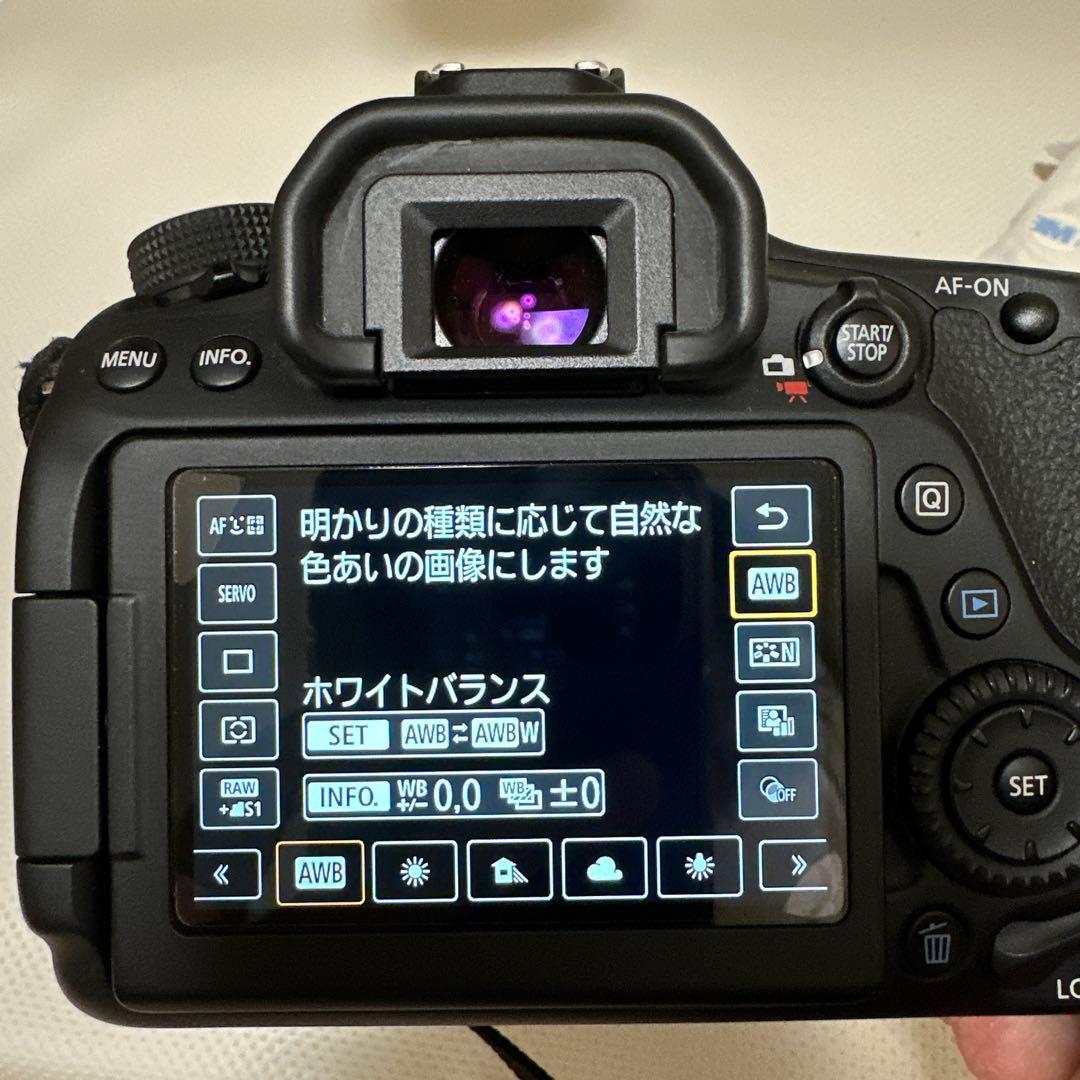 EOS 80D ボディのみ（液晶モニター不具合品）