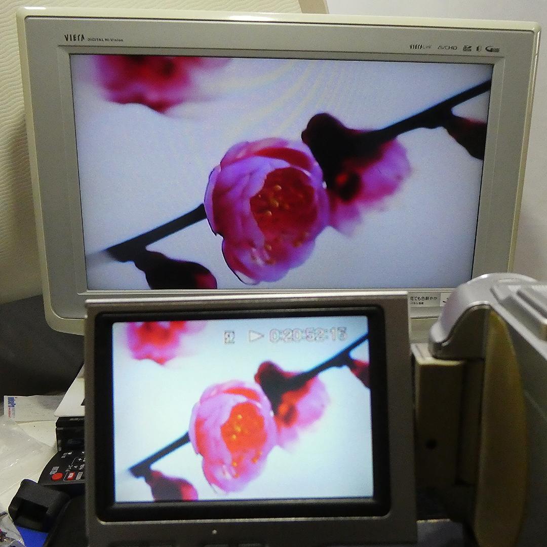 動作品 ソニーDCR-TRV8 MiniDV ビデオカメラ DVDダビングに最適