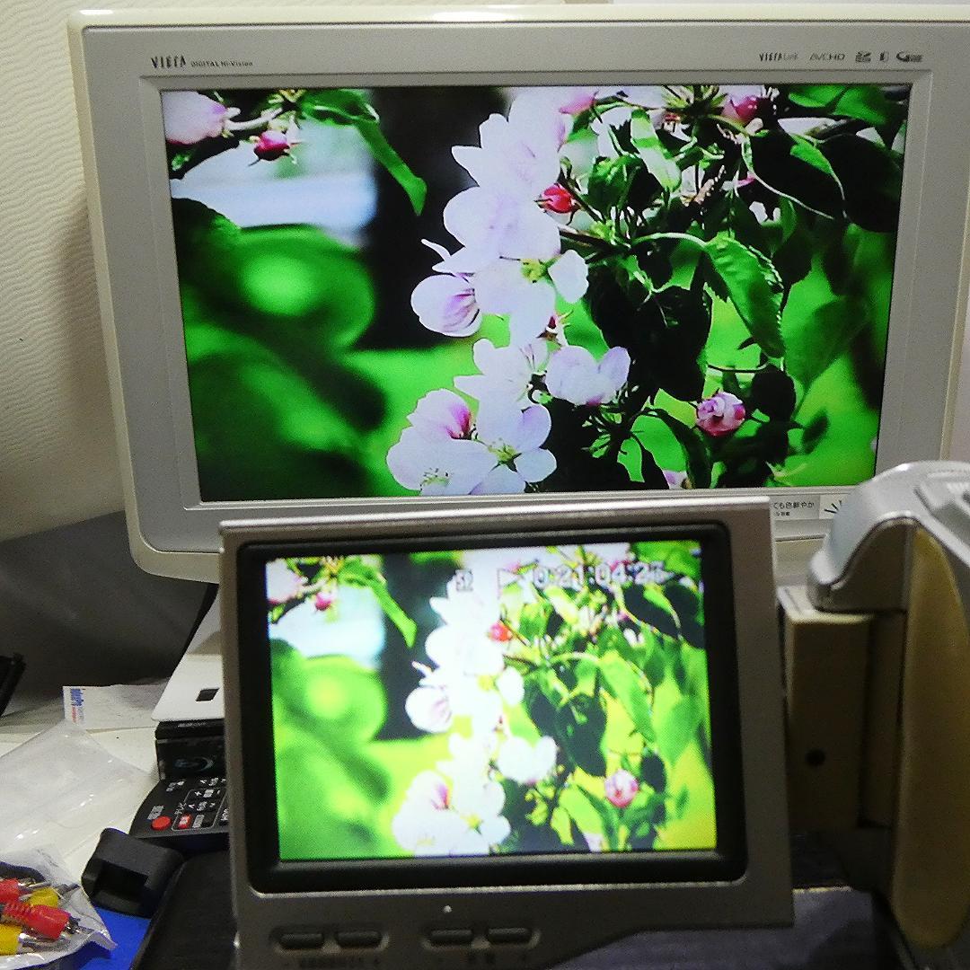 動作品 ソニーDCR-TRV8 MiniDV ビデオカメラ DVDダビングに最適