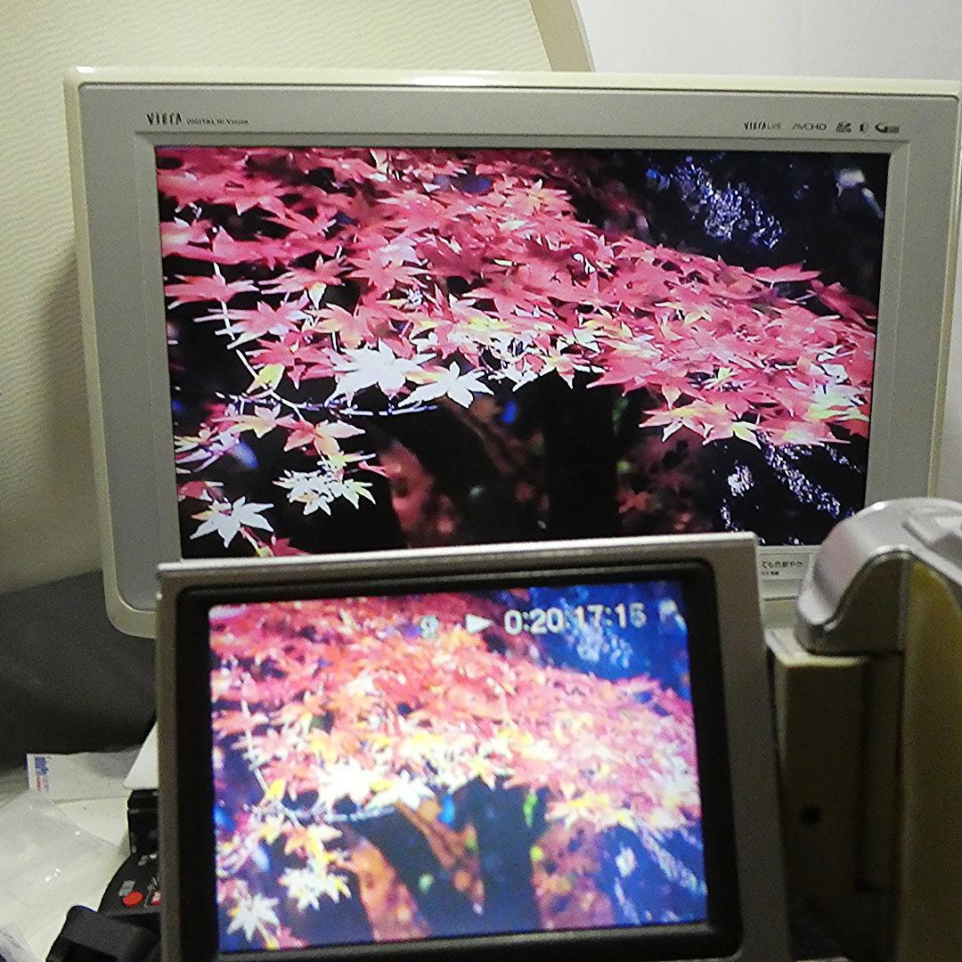 動作品 ソニーDCR-TRV8 MiniDV ビデオカメラ DVDダビングに最適