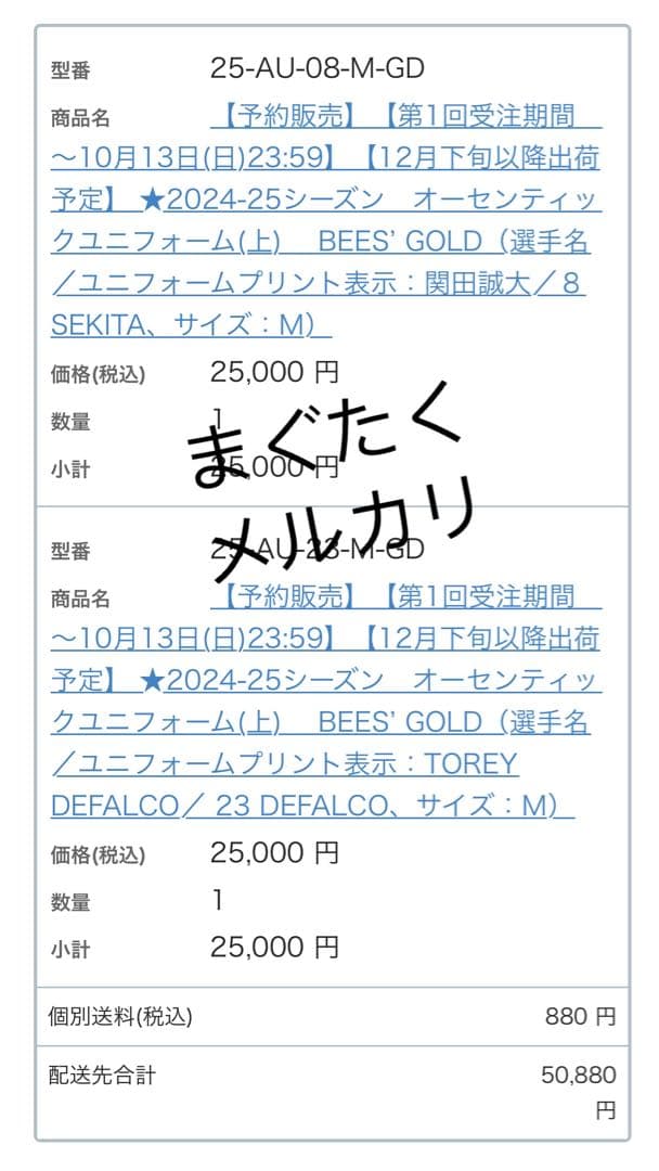 ジェイテクト Stings愛知 関田誠大 レプリカ ユニフォーム バレーボール