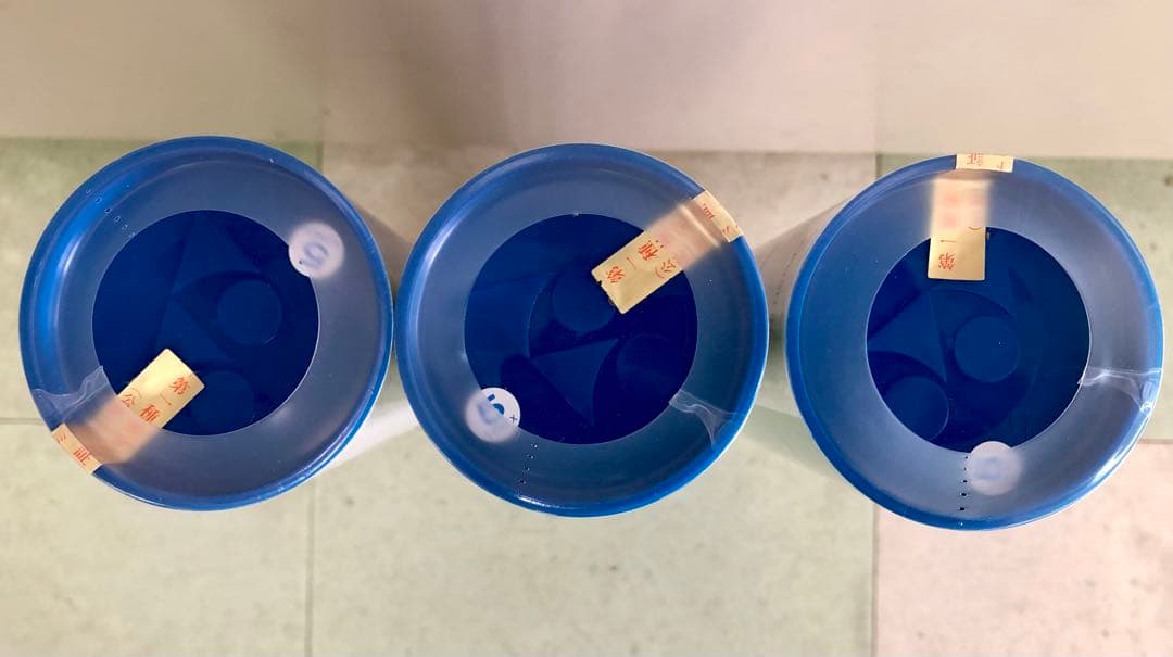 新品 YONEX F-80 no5 羽根シャトル 3ダース(3本)