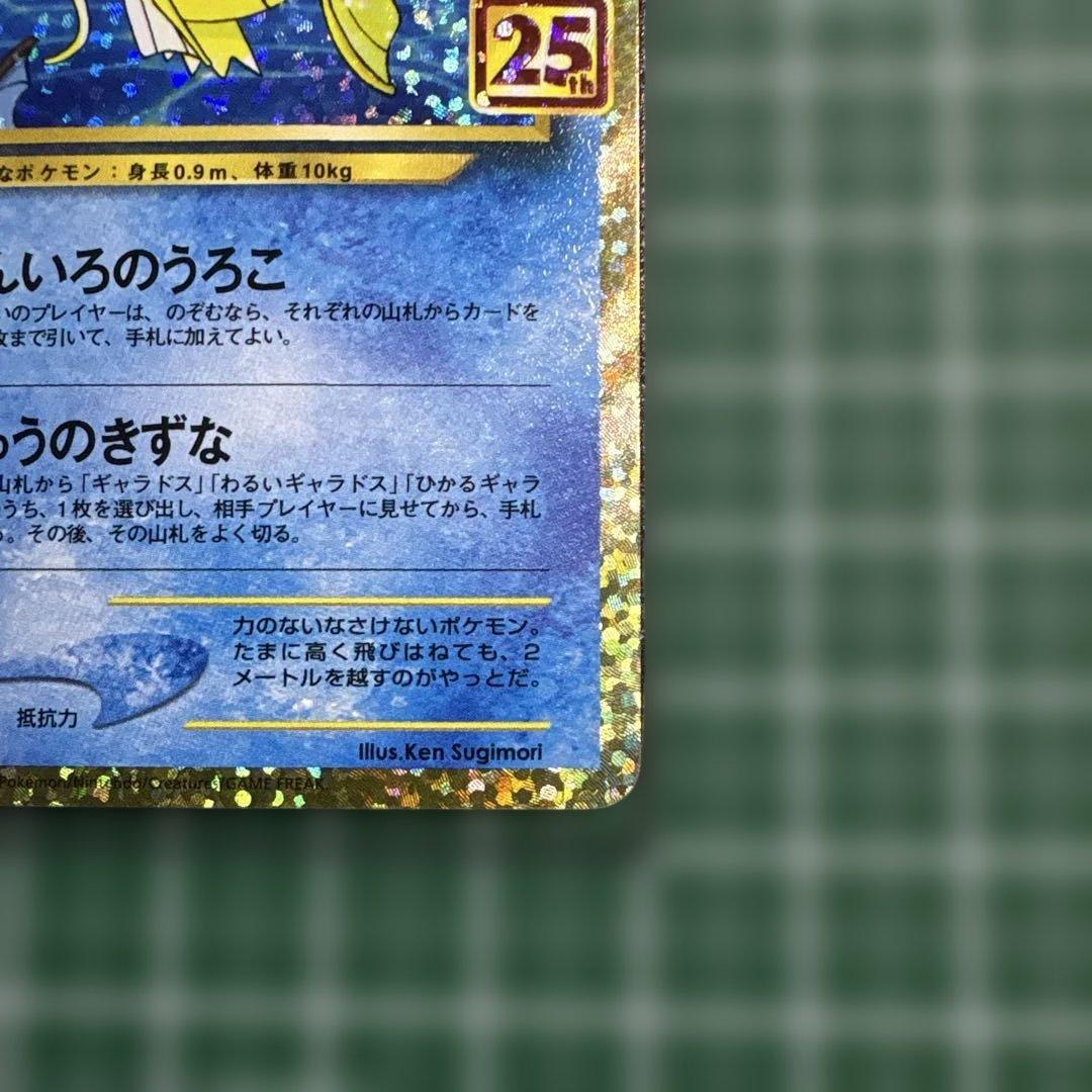 ひかるコイキング 25th ②