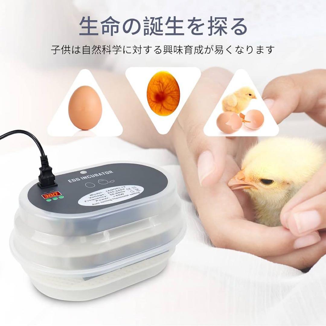 自動孵卵器 孵化器 インキュベーター 小型孵卵器 鳥類専用ふ卵器 自動転卵 自動