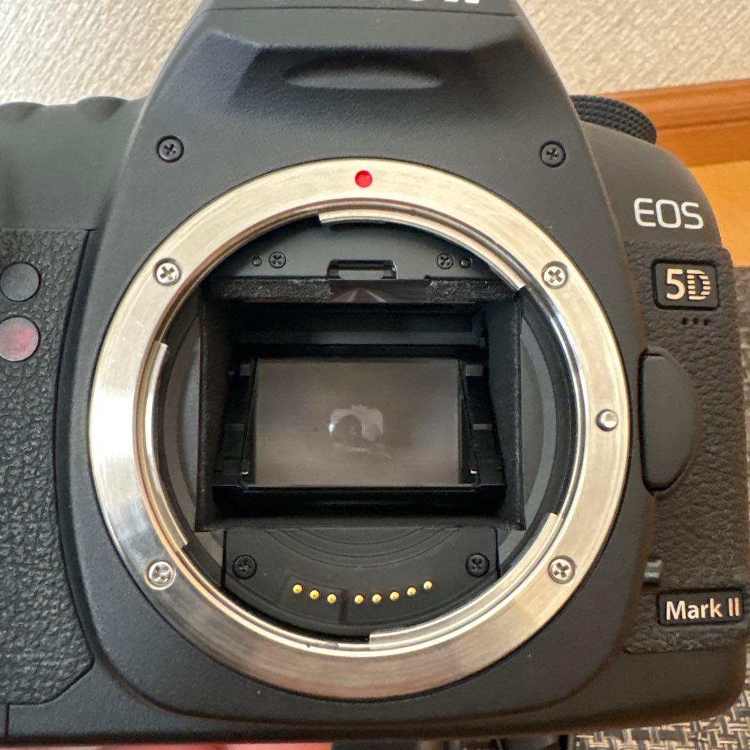 Canon EOS 5d mark2 ボディ　バッテリー　バッテリーチャージ付
