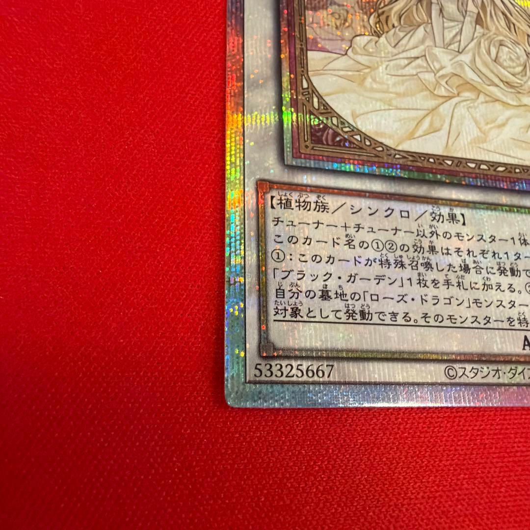 【まとめ買い割引】 ガーデンローズメイデン プリシク プリズマ 絵違い