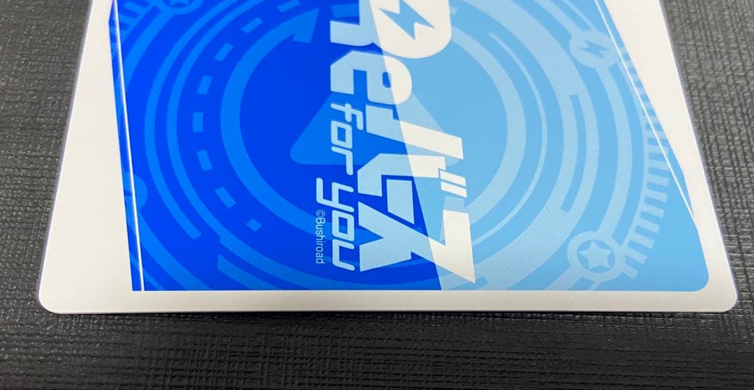 Reバース ドルフィンウェーブ 咲宮 入華 PP サイン