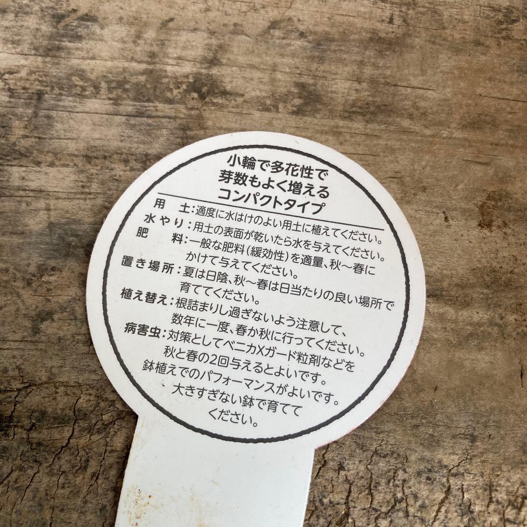 おまとめ2点　meroron＊mama様