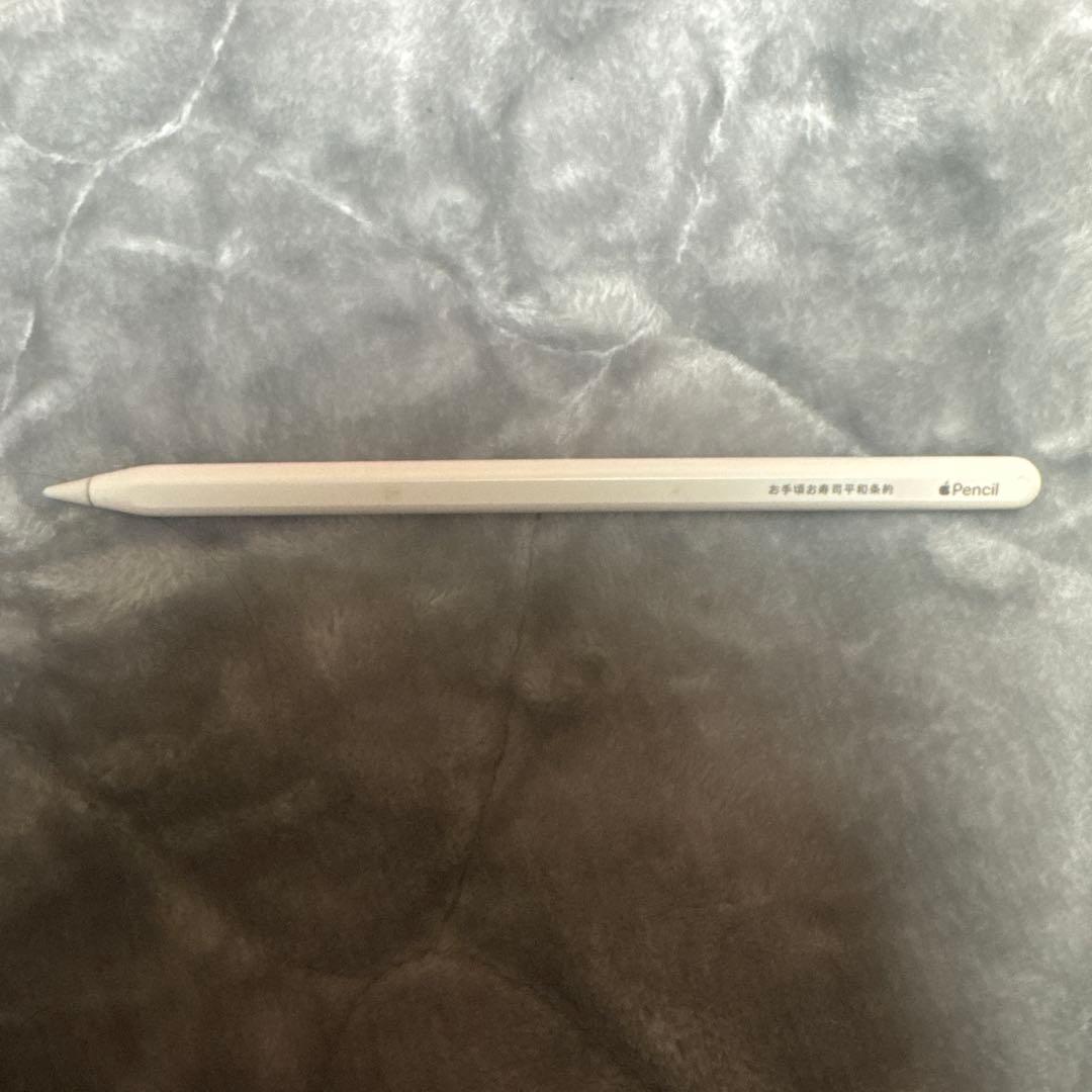 c*a様 iPad Pro第4世代12.9インチ