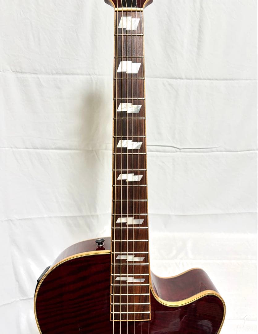 【新品弦張替済】Zenn エレアコ ZF33CE fホール グローバーペグ