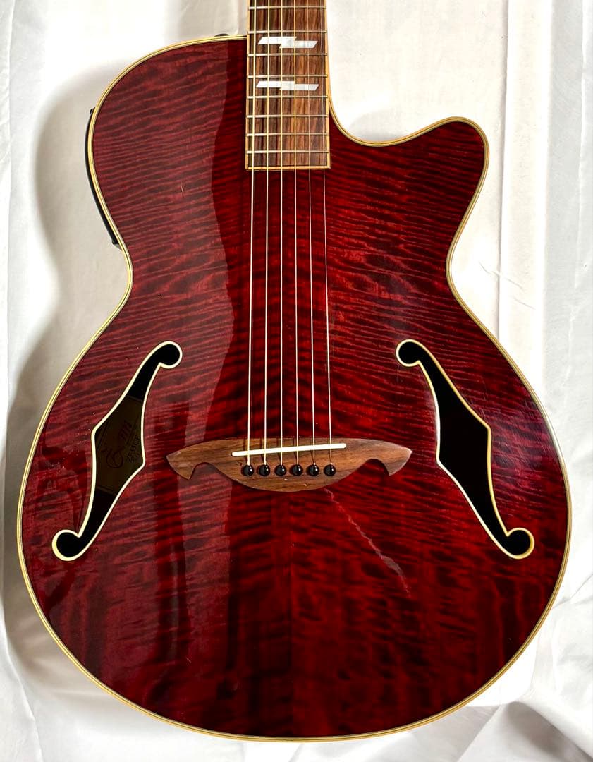 【新品弦張替済】Zenn エレアコ ZF33CE fホール グローバーペグ