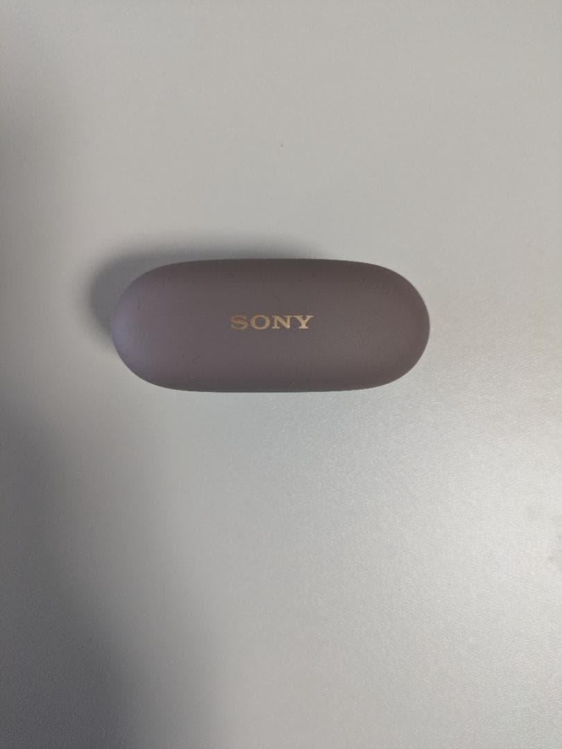 り*お様 【極美品】SONY WF-1000XM5プラチナシルバーソニーストア購