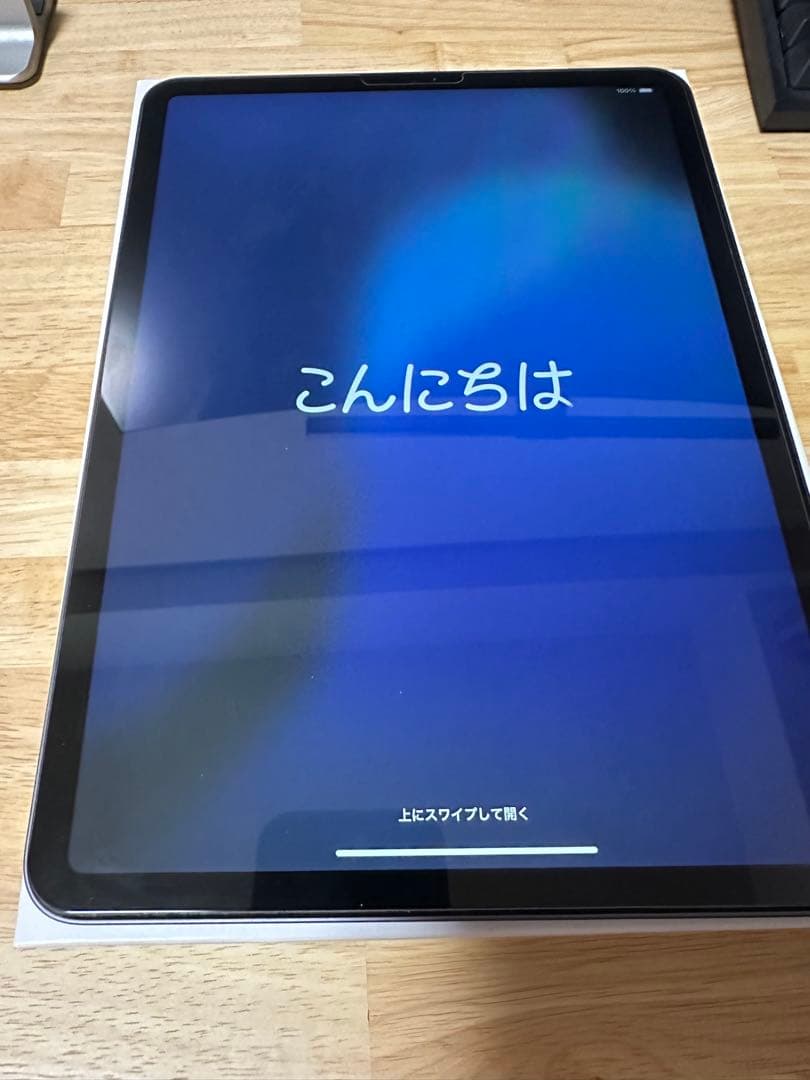 iPad Pro 第一世代 11インチ 256GB Wi-Fi