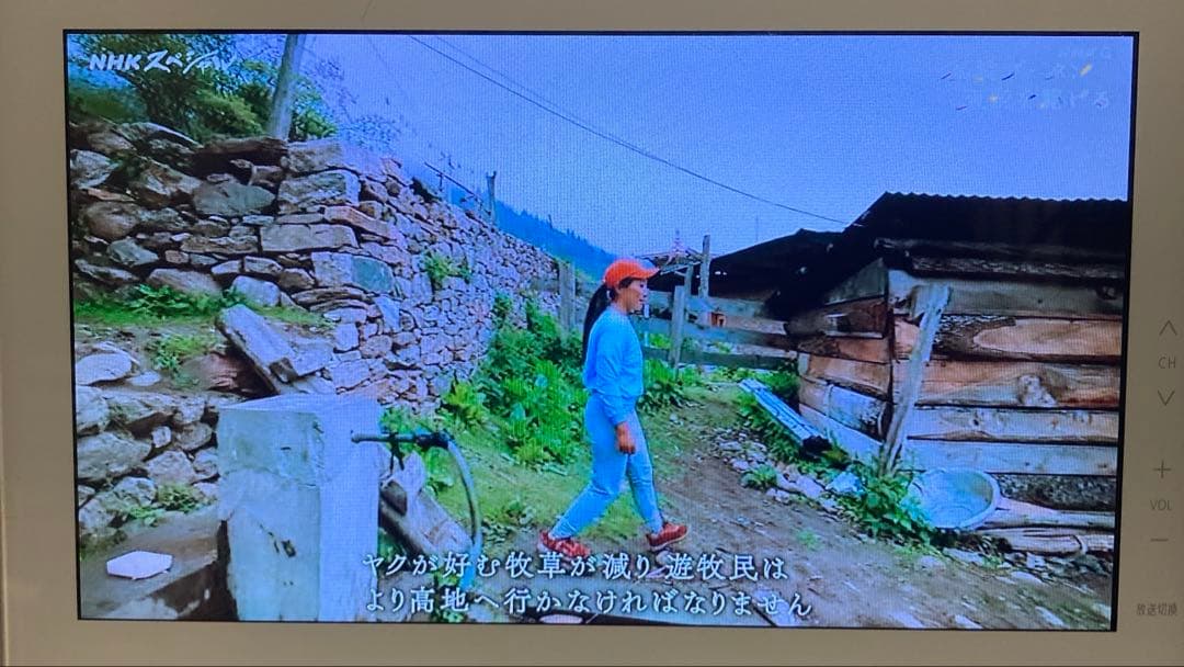 ポータブル地上・BS・110度CSデジタルテレビUN-10ES +録画用HDD付