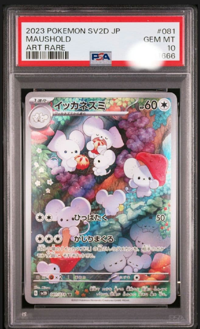 イッカネズミ　AR PSA 10