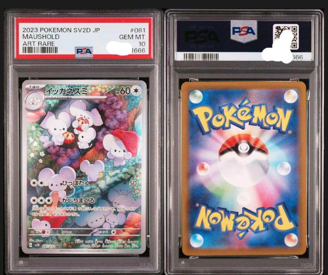 イッカネズミ　AR PSA 10