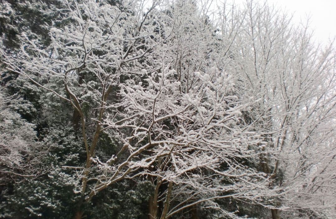 CASIO EXILIM EX-Z90 コンパクトデジタルカメラ⚡️コンデジ