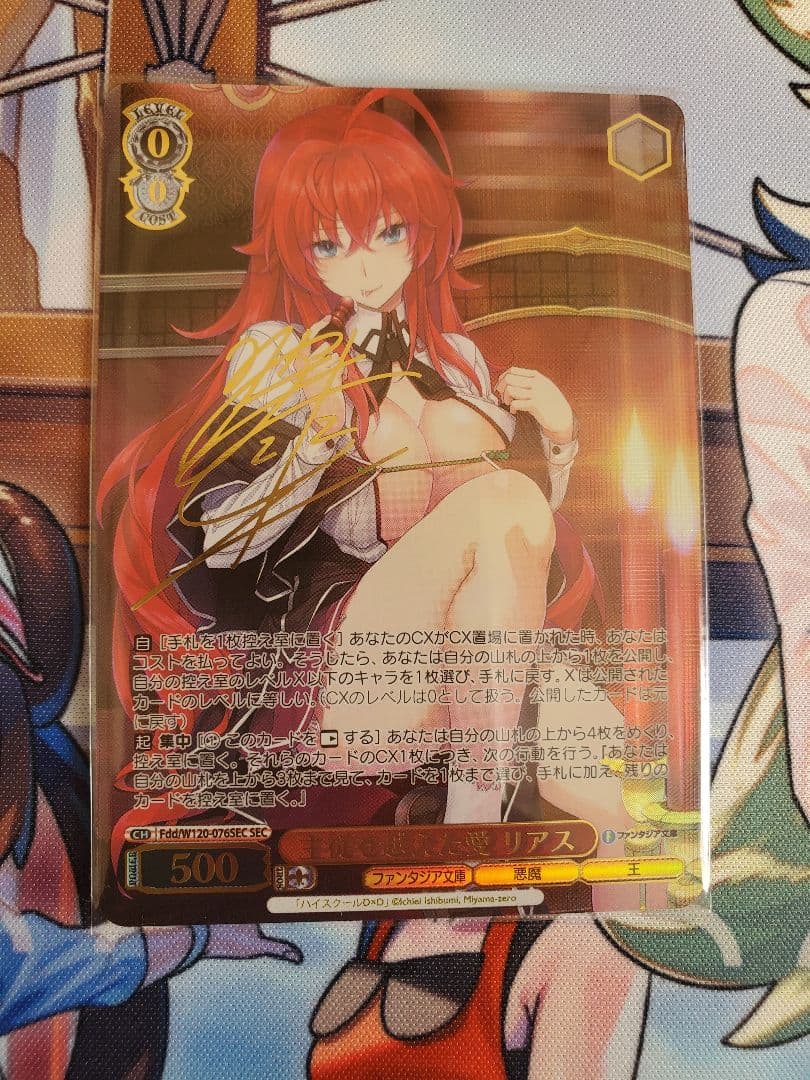 主従を越えた愛 リアス サイン SEC