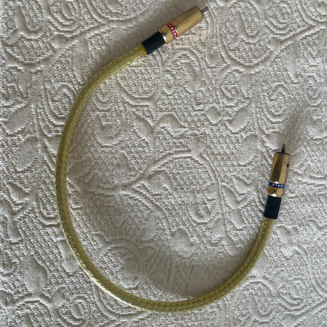 kazuya　WIREWORLD ゴールドスターライト5　O.5m