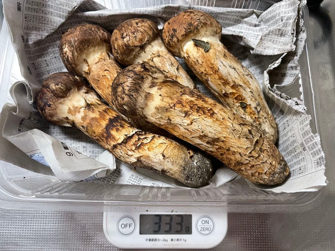 岩手マツタケ 5個 333g