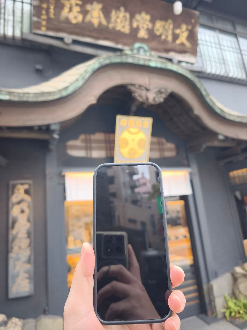 Google Pixel9proXL 美品 torrasMagSafeケース付き