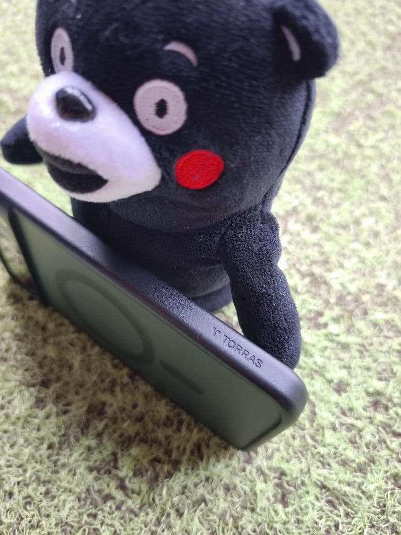 Google Pixel9proXL 美品 torrasMagSafeケース付き