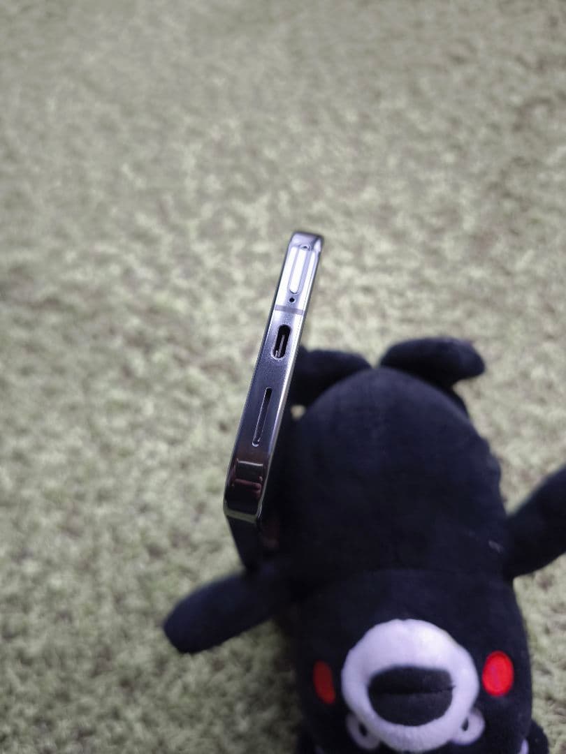 Google Pixel9proXL 美品 torrasMagSafeケース付き