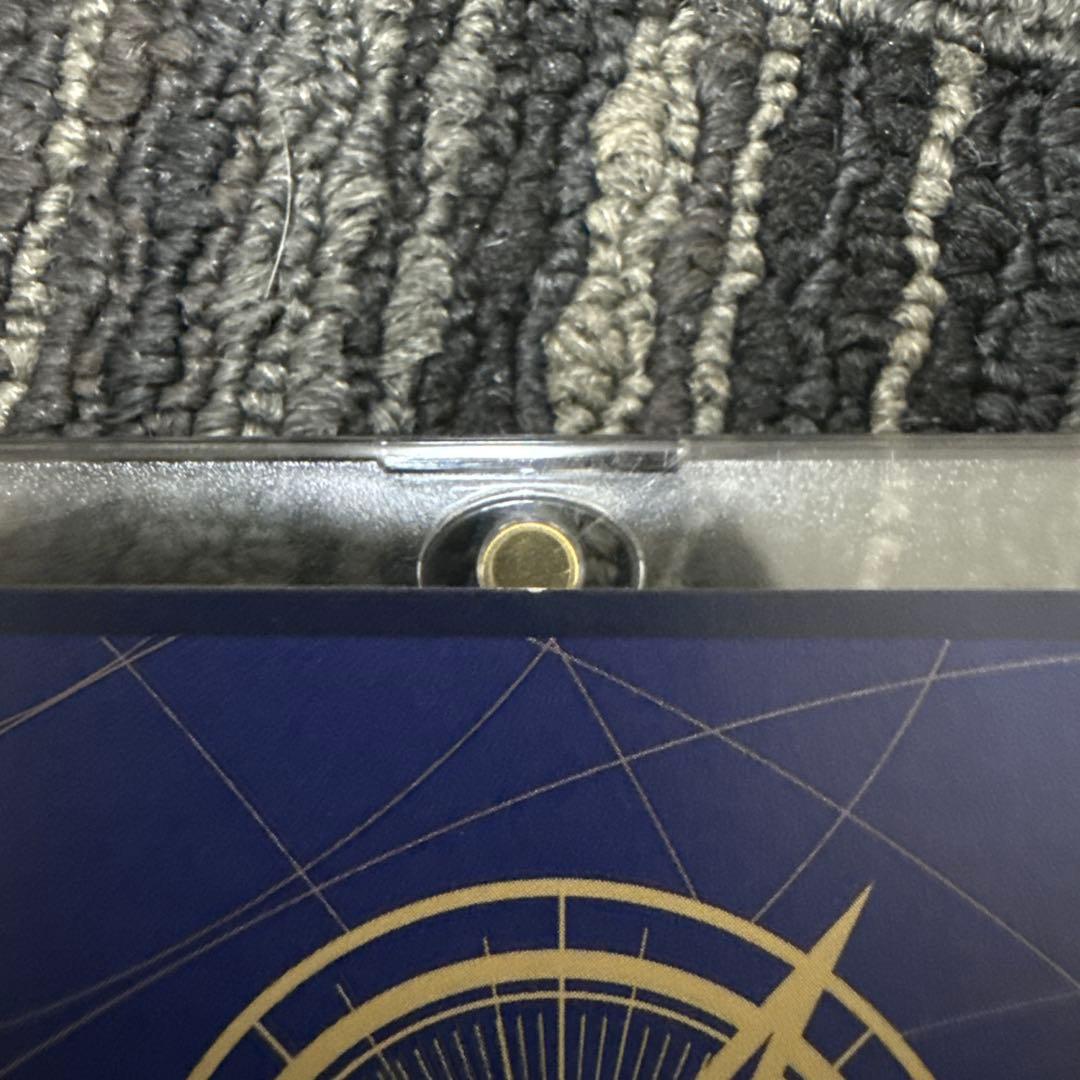 コ*G様 ポートガス・D・エース SR SP(スペシャルカード) OP02-01