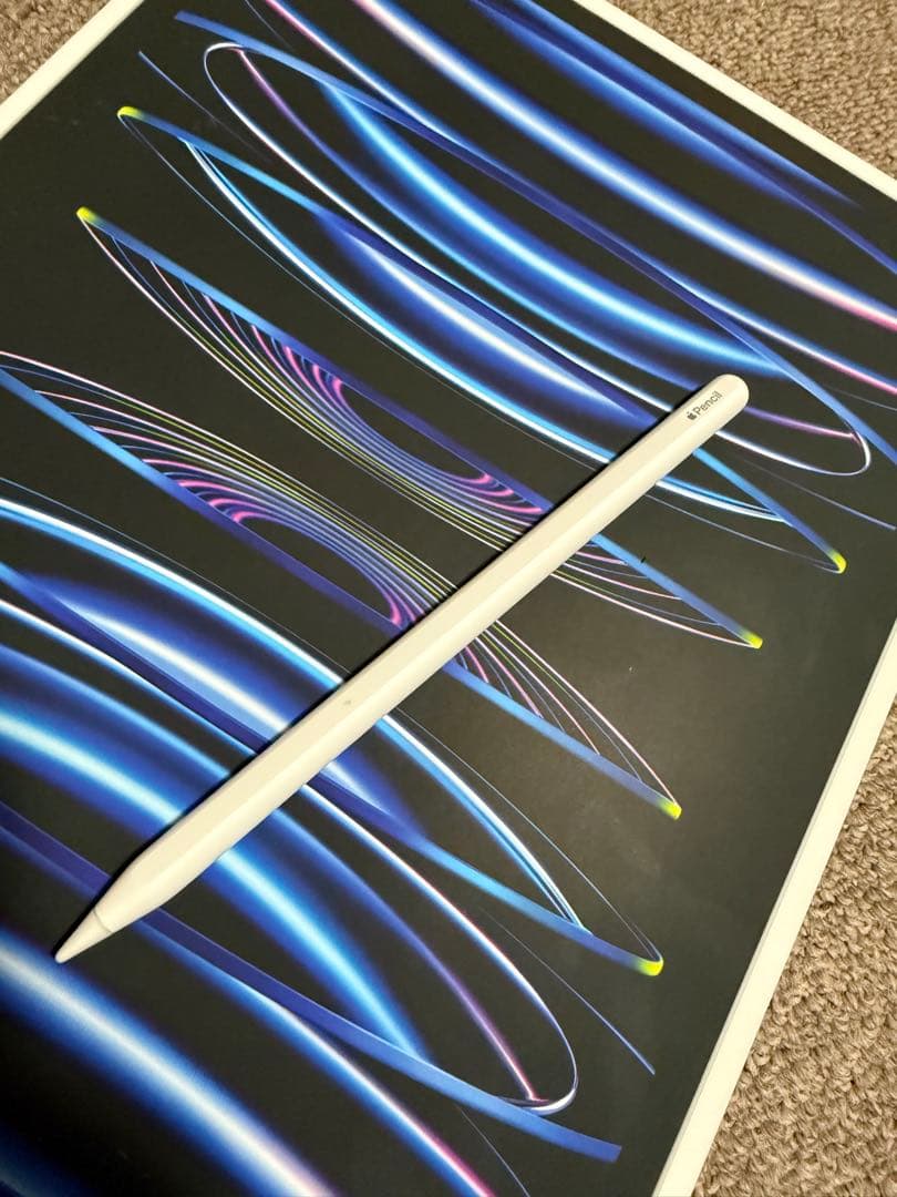 iPad Pro 12.9 第6世代 256GB Wi-Fiバッテリー100%