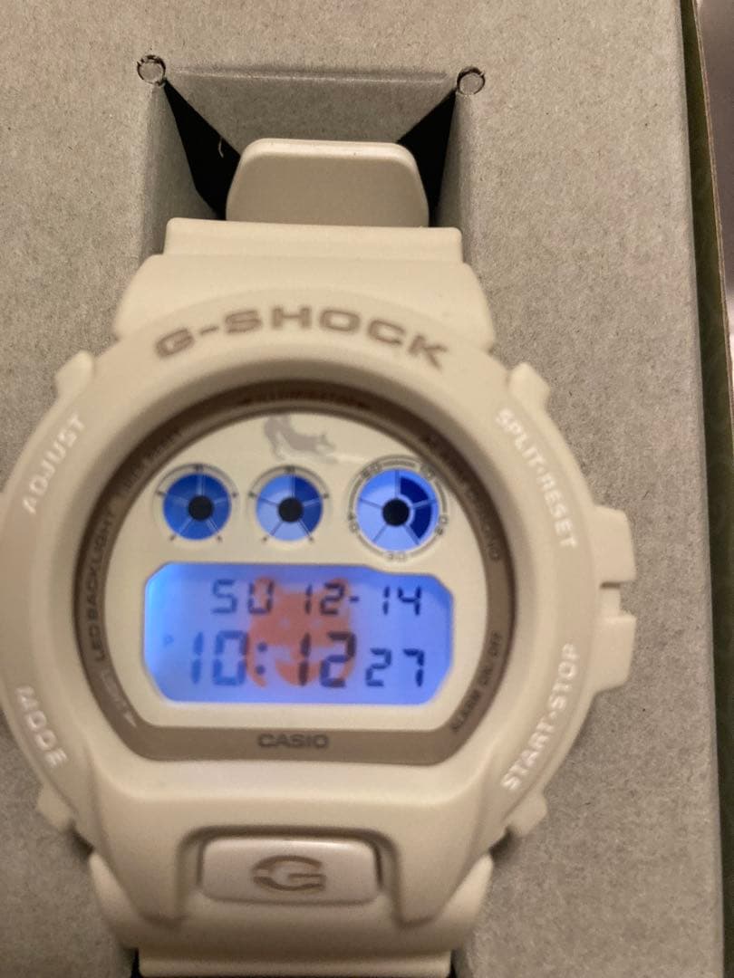 CASIO G-SHOCK DW-6900 DW-6900SHB-7JR 芝犬