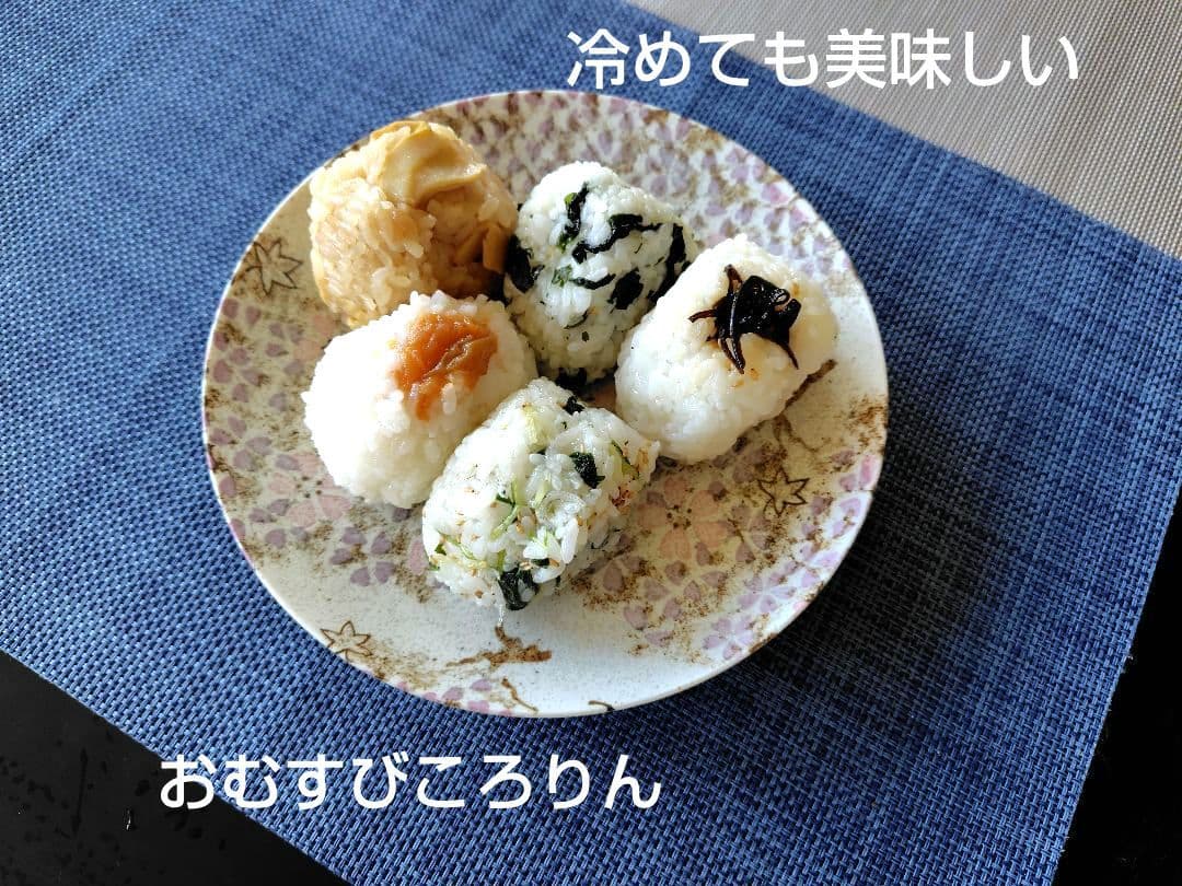 つきあかり10kg　岩手県産 令和６年産 減農薬 玄米 有機栽培 単一原料米