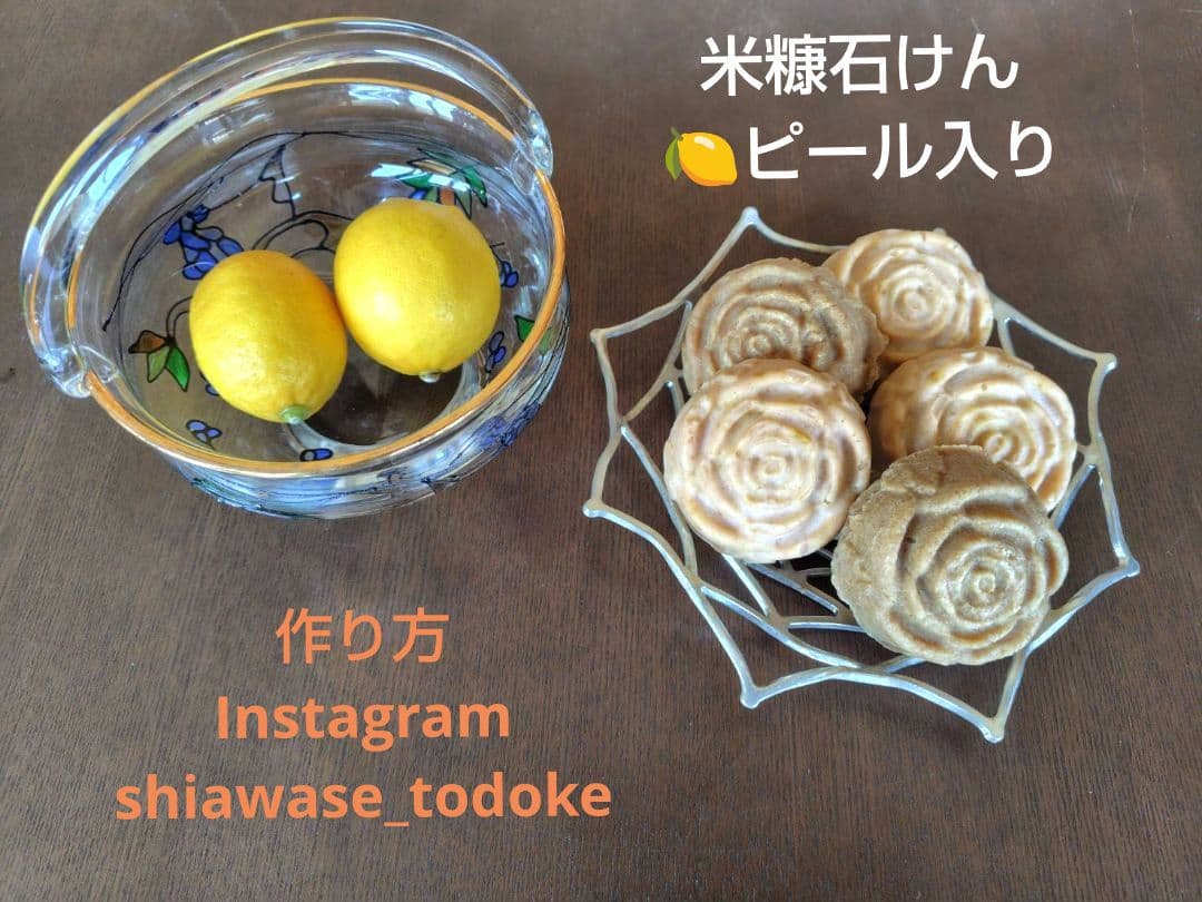 つきあかり10kg　岩手県産 令和６年産 減農薬 玄米 有機栽培 単一原料米