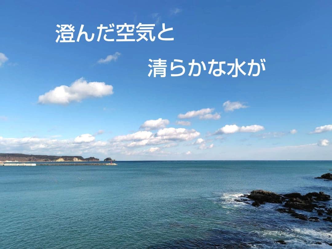 つきあかり10kg　岩手県産 令和６年産 減農薬 玄米 有機栽培 単一原料米