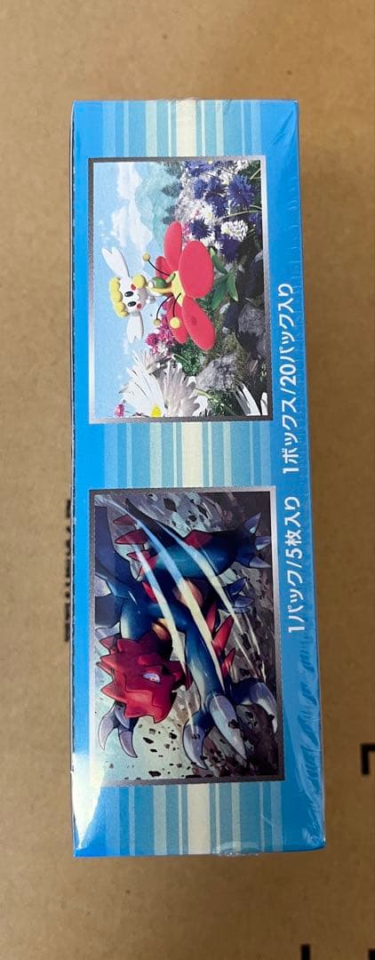 ポケモンカードゲーム XY ワイルドブレイズ 1st ED Box