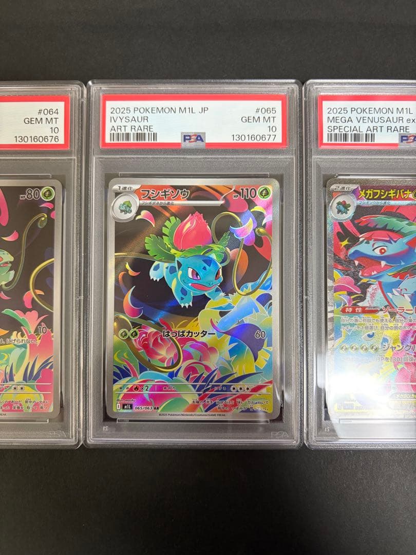 【⭐️PSA10 連番⭐️】メガフシギバナ進化系