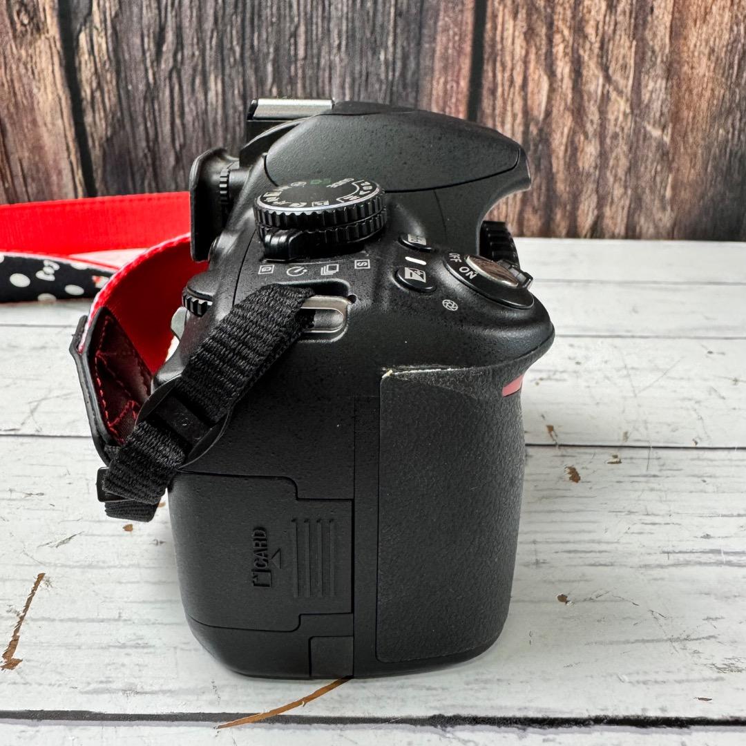 NikonD3100 一眼レフ AF-S 18-55mm 1: 3.5-5.6G