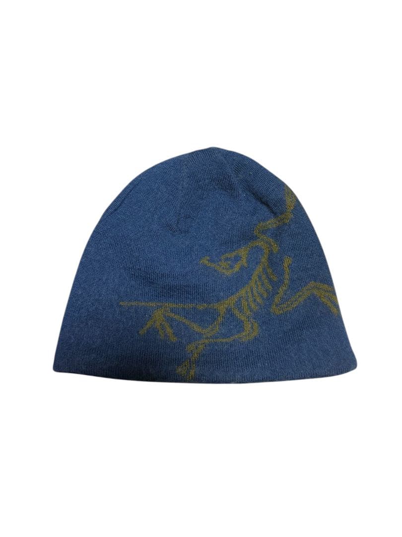 次*す様 ARC'TERYX アークテリクス ビーニー vintage 90年代