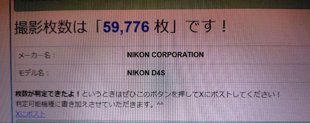 【良品】nikon d4s【シャッター回数59776回】