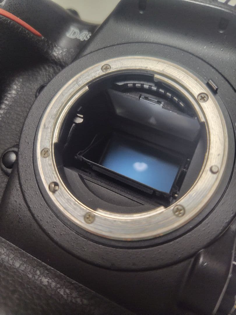 【良品】nikon d4s【シャッター回数59776回】