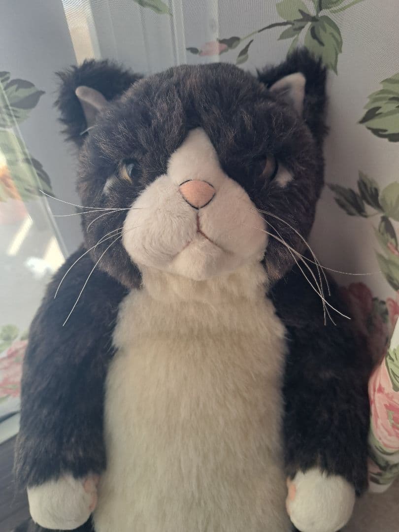 カドリー　猫　金之助