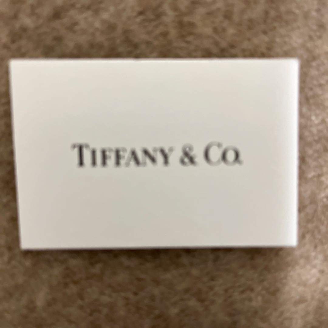 Tiffany & Co. シルバー ネクタイピン
