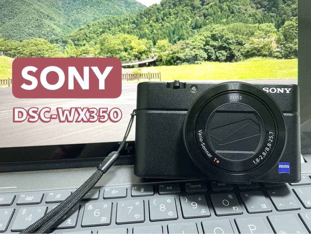 SONY DSC-WX350 コンパクトデジタルカメラ