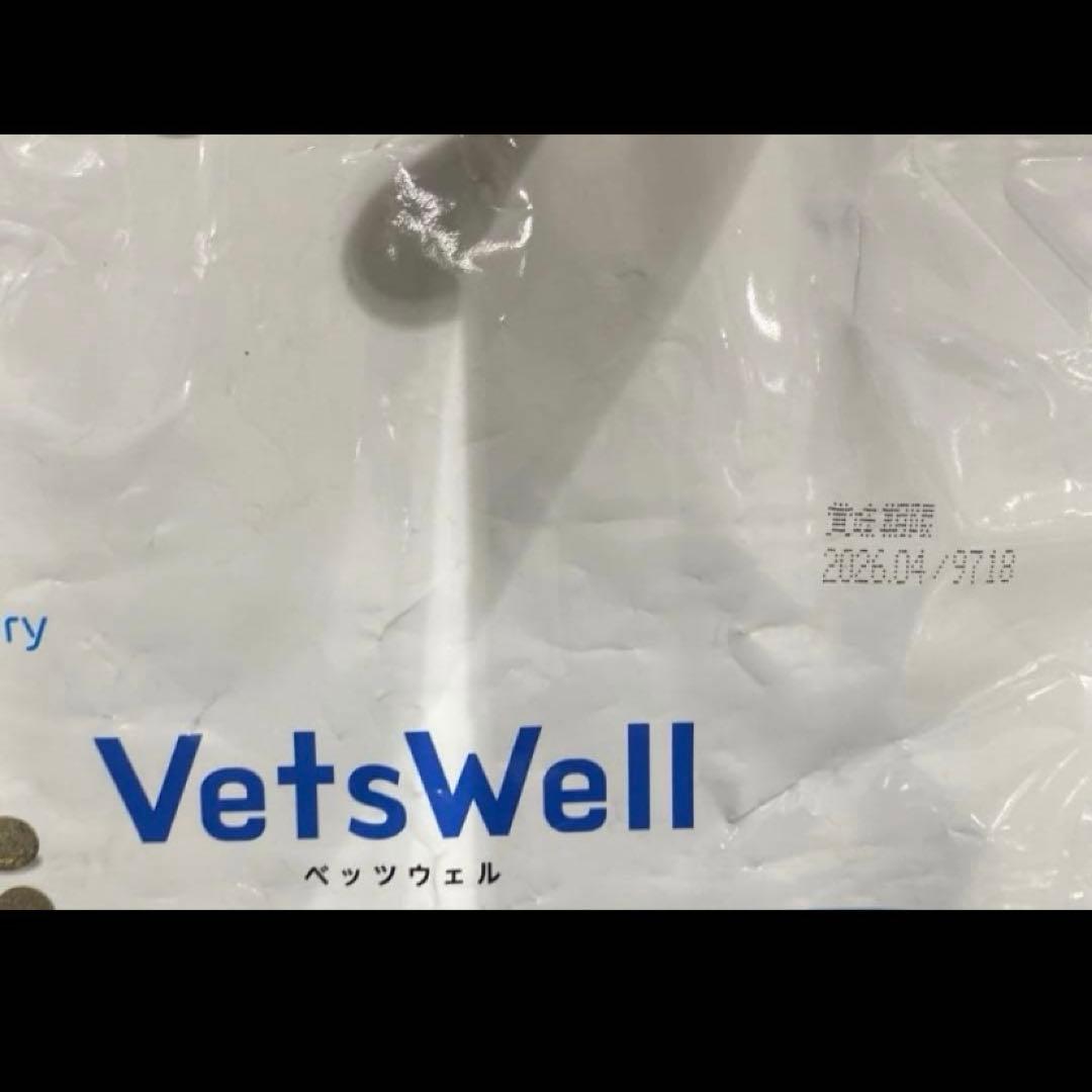 【パティ】 ベッツウェル 腎臓ケア　ダイエット　犬用食事療法食 6kg