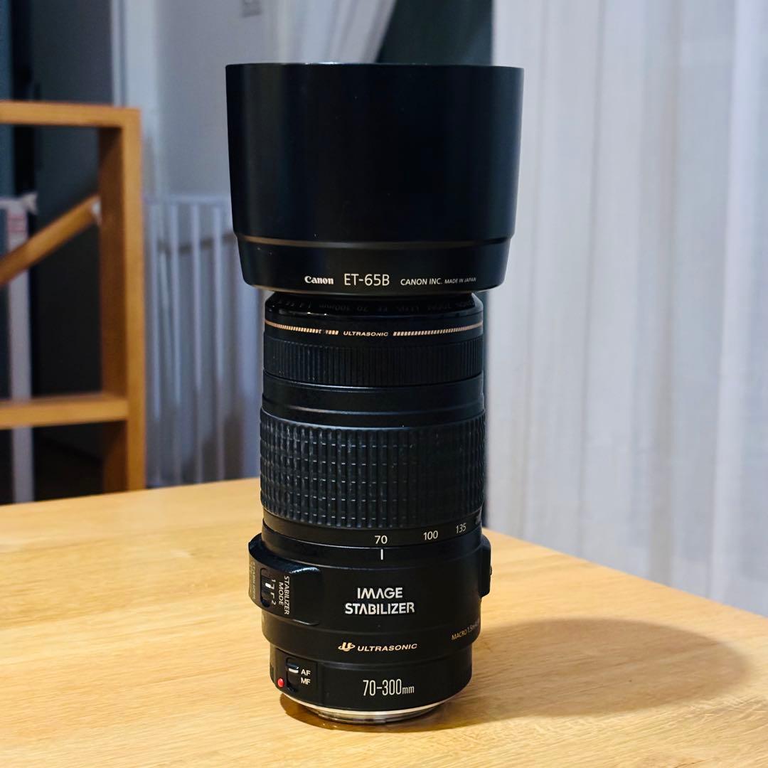 レンズ(ズーム) Canon EF70-300mm 1:4-5.6 IS USM