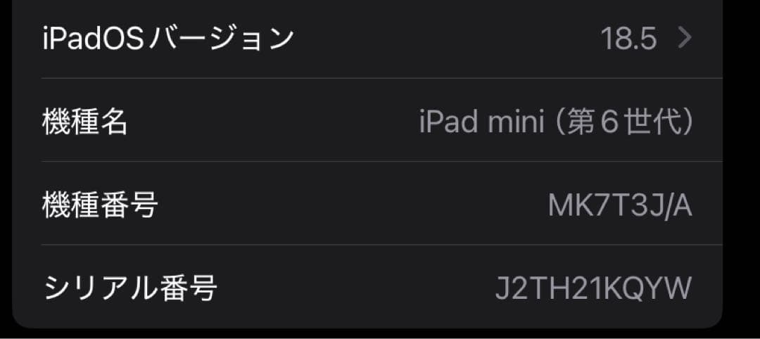 iPad本体 iPad mini6 256GB wifi