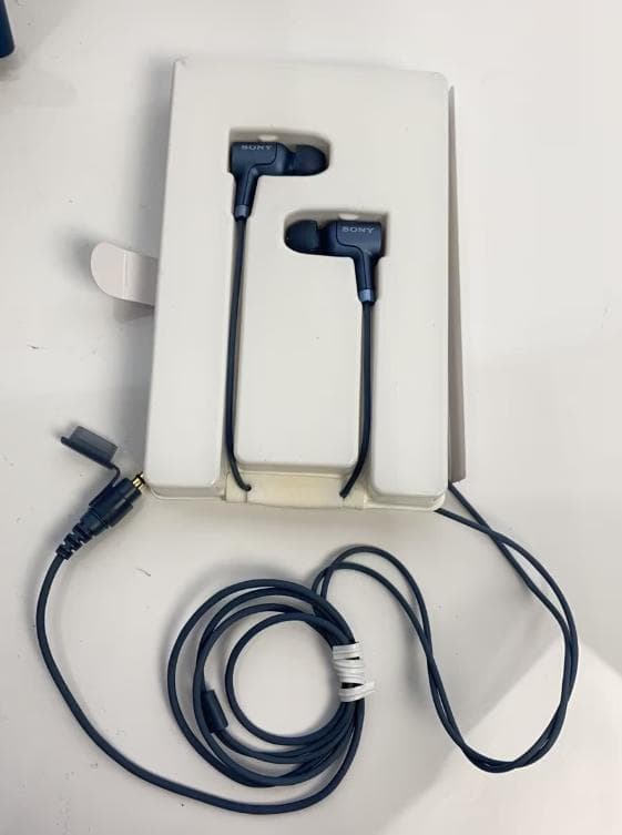 SONY ウォークマン ディズニーファンタジア35周年 NW-A55HN/FAN